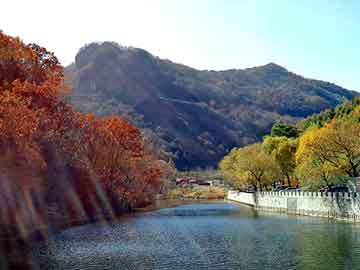 家庭園藝入門指南，盤點(diǎn)那些易養(yǎng)活的植物品種
