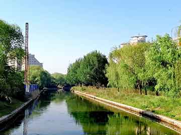 竹室內(nèi)盆景，綠意盎然的藝術(shù)，打造家居清新空間